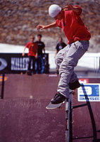 olesch fsfeeble