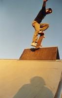 schaller nose blunt ex